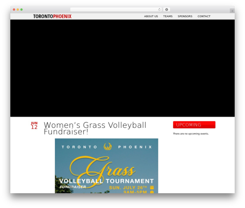 Toolbox 2 WordPress theme - torontophoenix.com