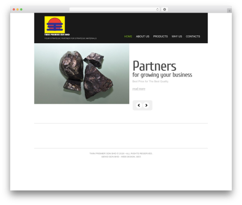 WordPress Theme 1302 WP theme - twinpremier.com