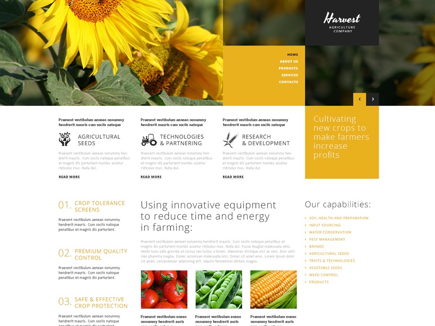 WordPress theme theme51881 by Template_Help.com