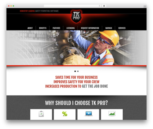 WP theme Custom Wordpress Theme - tkprosoftware.com