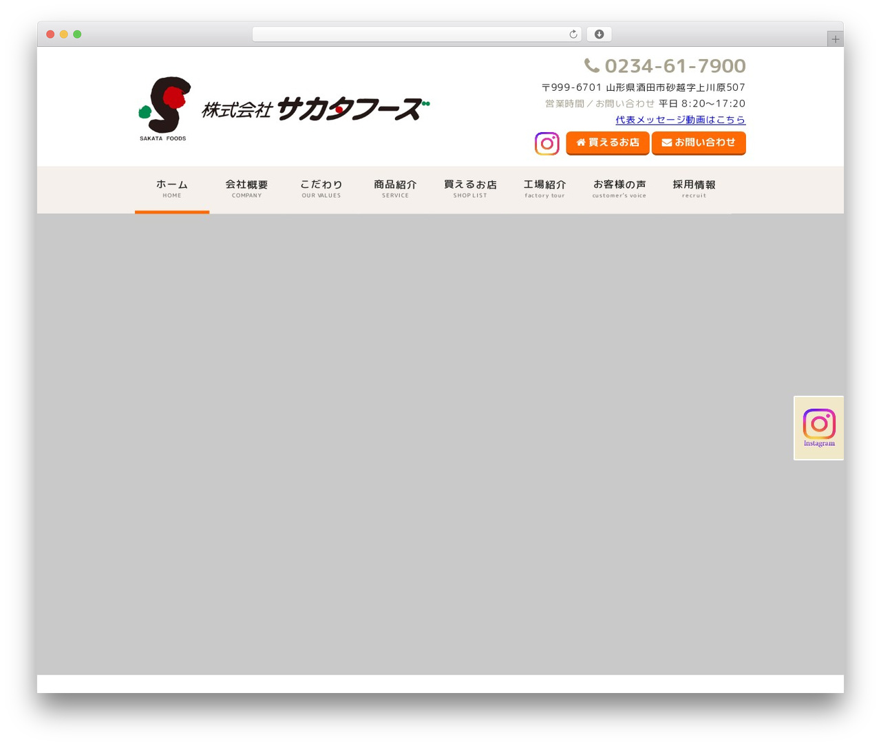 256cms2 best WordPress theme - sakatafoods.com