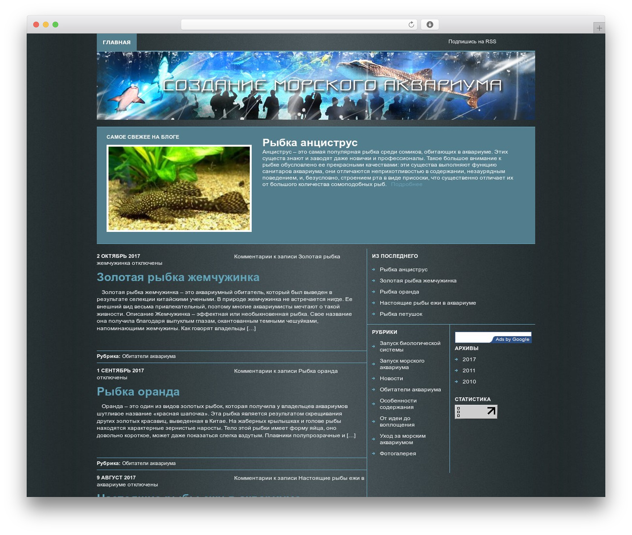 Transparency WordPress theme - seaqua.ru