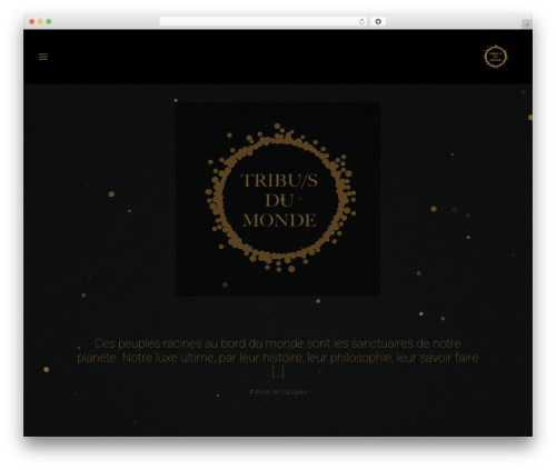 Vcparticlesbackground WordPress plugin - tribusdumonde.org