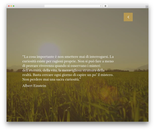 WordPress theme Studio 9 - flaminianucci.it