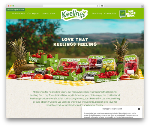 Bs grid main WordPress plugin - keelings.ie