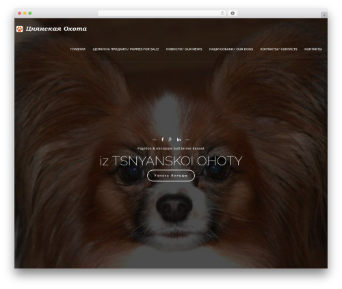 Js_composer_5.0.1 WordPress plugin - pitomnik.biz
