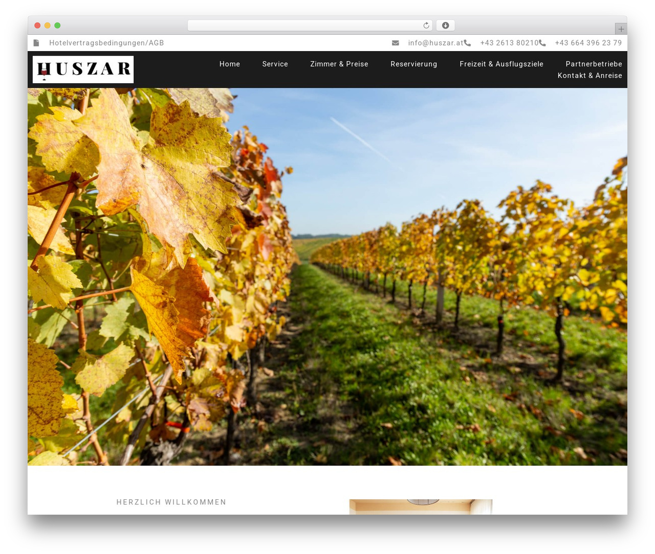Hello Elementor theme WordPress - huszar.at