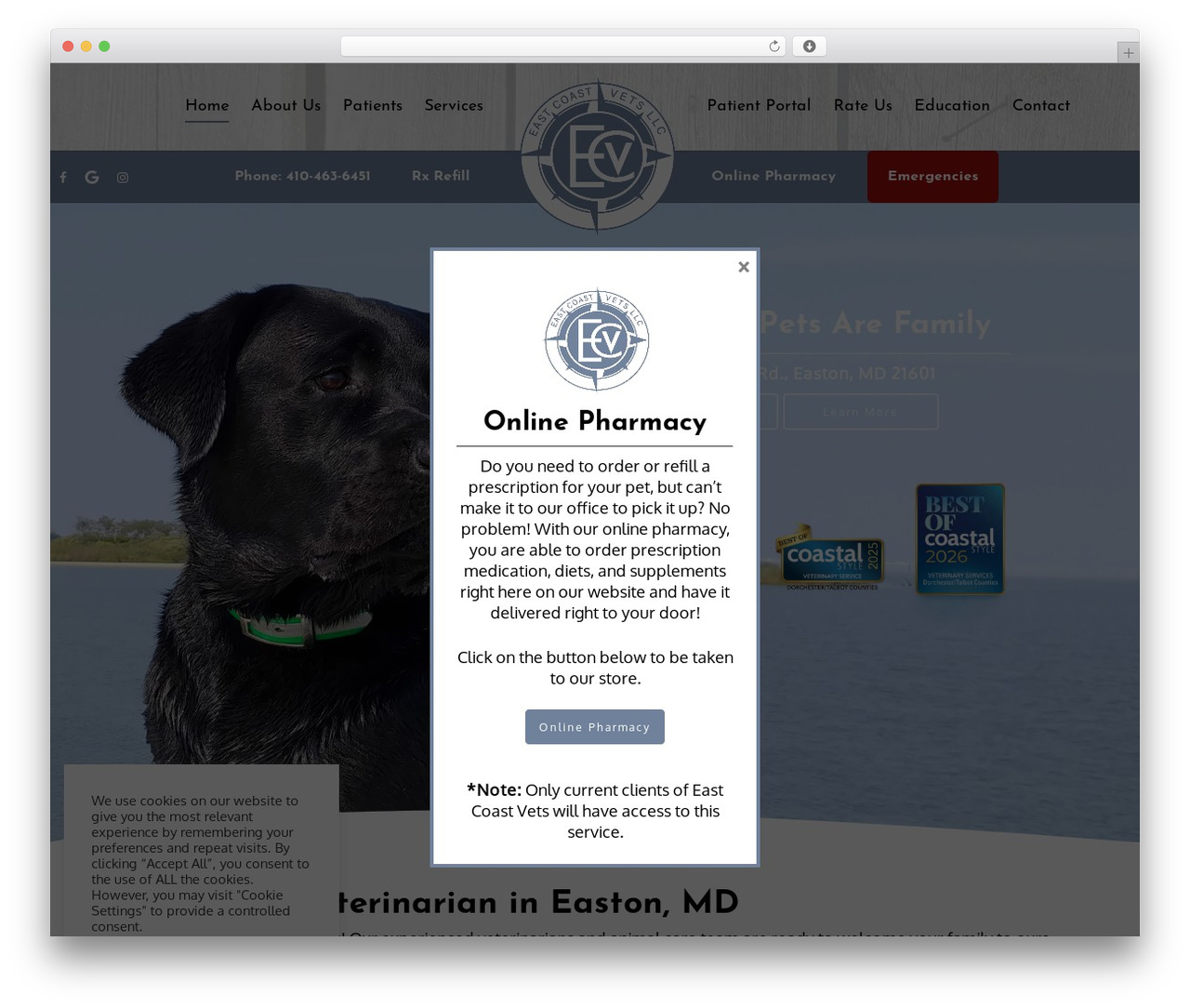 Salient theme WordPress - eastcoastvet.com Salient theme WordPress - eastcoastvet.com