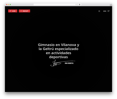 Enlivenem WordPress plugin - fearlesssportclub.com