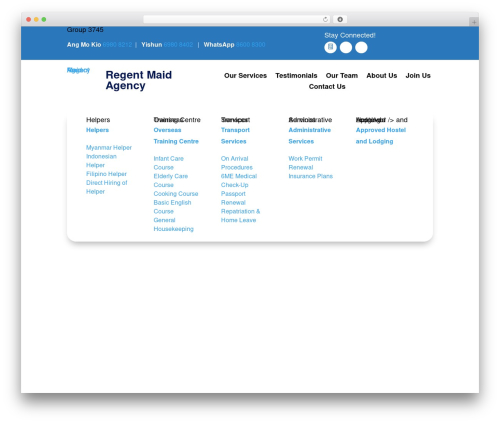 WordPress website theme Divi - regentmaidagency.com