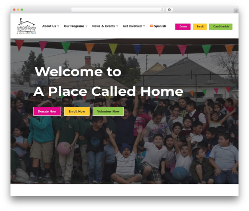 WordPress website theme Divi - apch.org