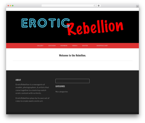 Salient widgets WordPress plugin - eroticrebellion.com