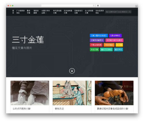 MyNote WordPress theme - footbinding.org MyNote WordPress theme - footbinding.org