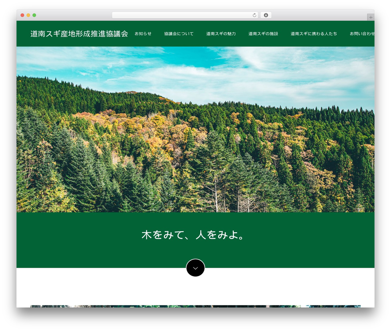 WP theme Switch - dounan-sugi.com WP theme Switch - dounan-sugi.com