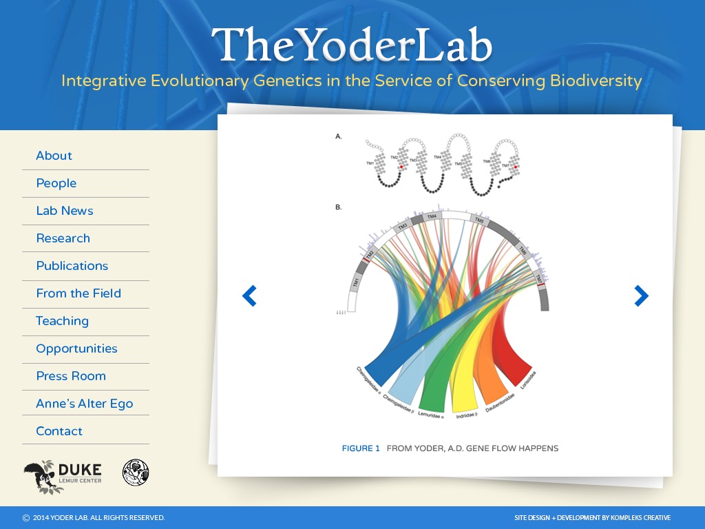 Yoder Lab WP theme by Kompleks Creative