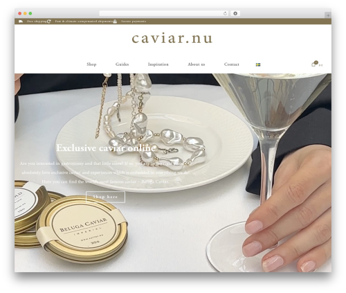 Addify abandoned cart recovery WordPress plugin - caviar.nu