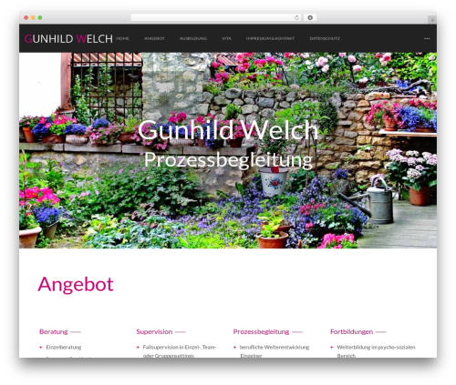 Wyde core WordPress plugin - welch.de
