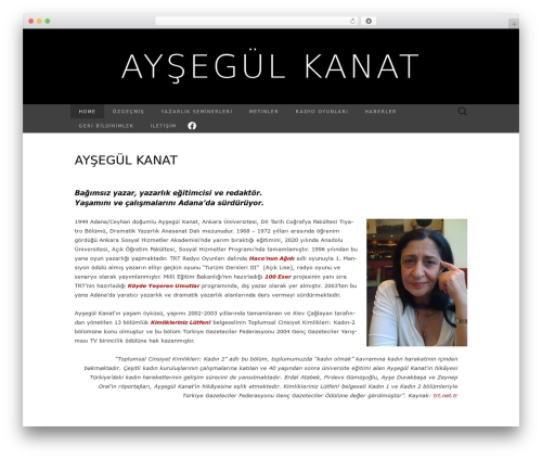Suits WordPress theme - aysegulkanat.org