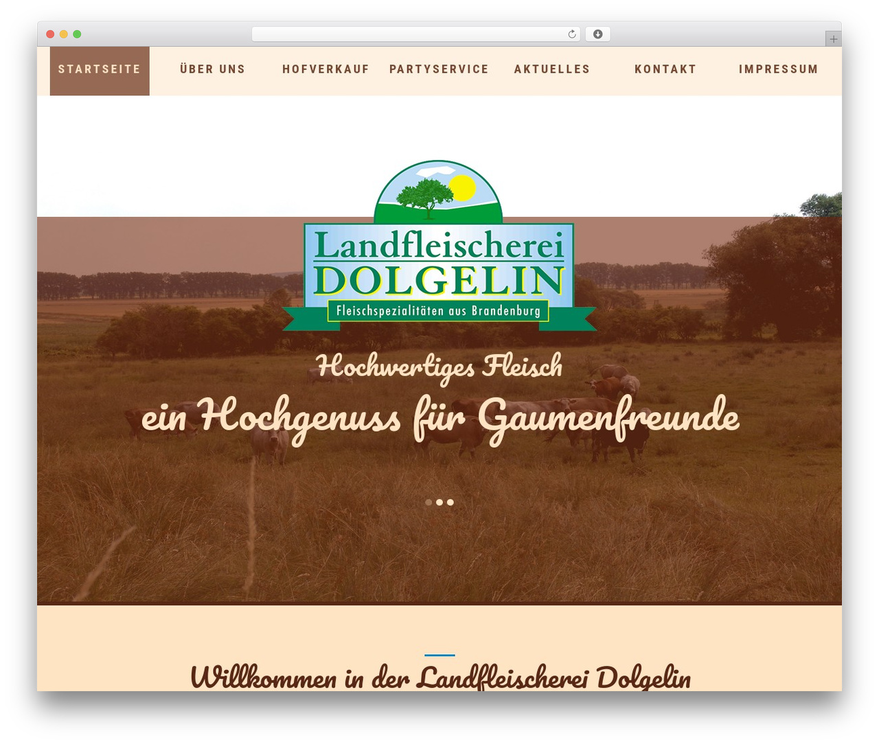 WordPress theme cherry - landfleischerei-dolgelin.de WordPress theme cherry - landfleischerei-dolgelin.de