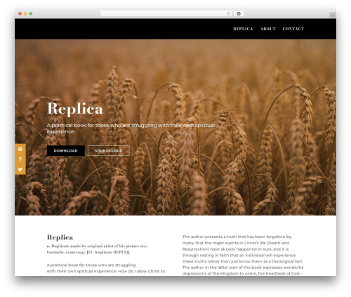 WordPress theme Divi - mattwoodbooks.com
