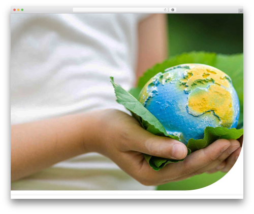 Romethemeform WordPress plugin - stf-global.org