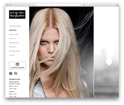 WordPress theme Raw - eriktermorshairfashion.nl