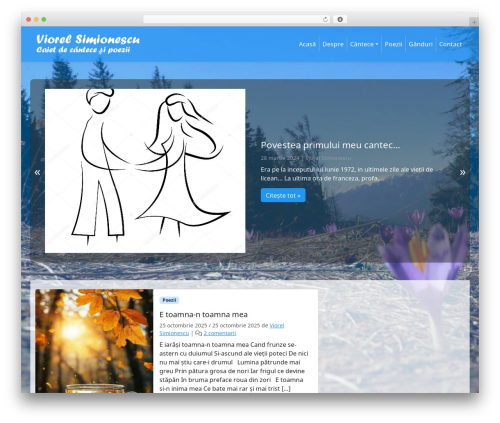 BootScore WordPress theme - viorelsimionescu.ro