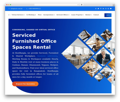 Braintech WordPress website theme - www.host.com.bd