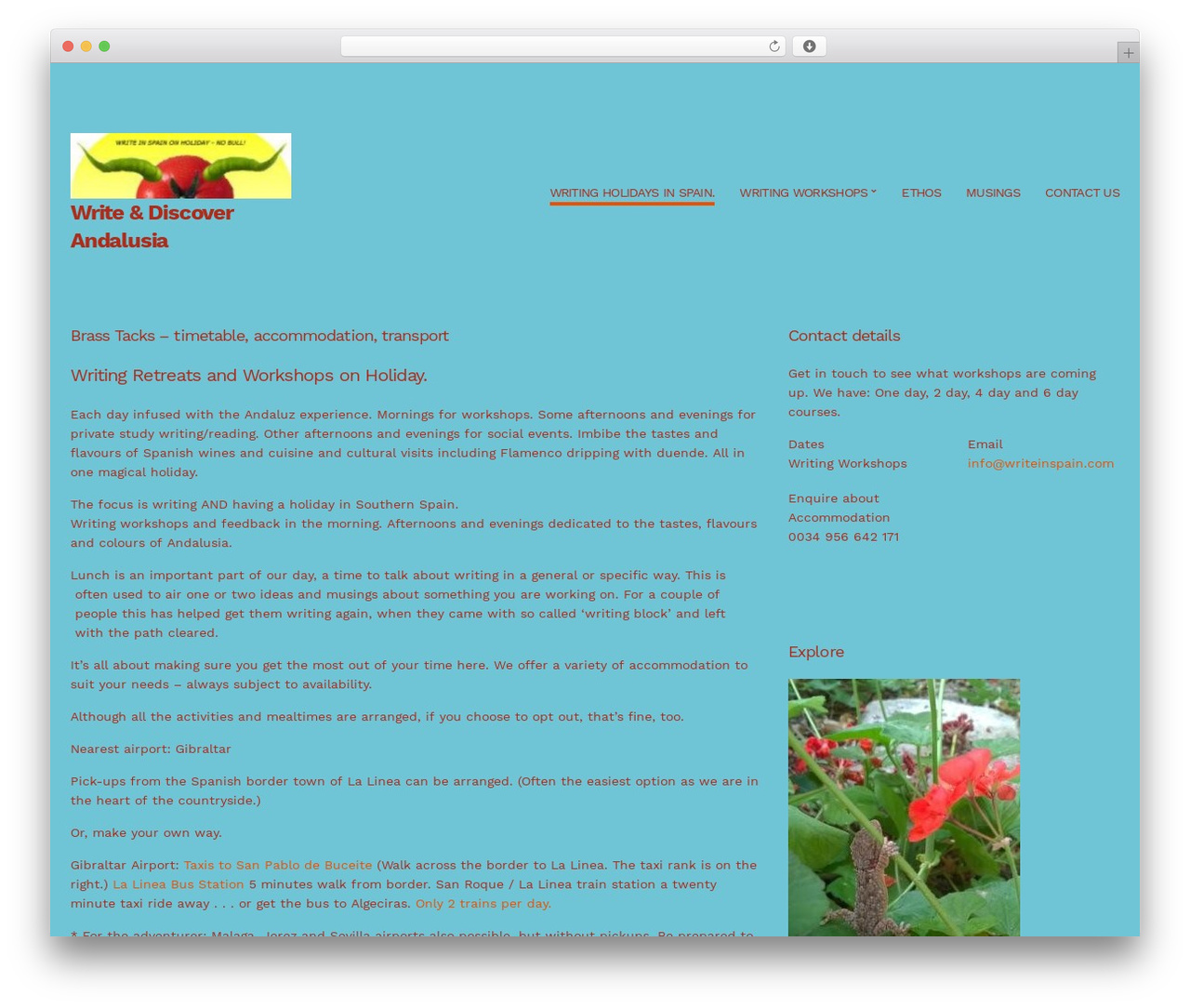 Hellomouse WordPress theme - writeinspain.com