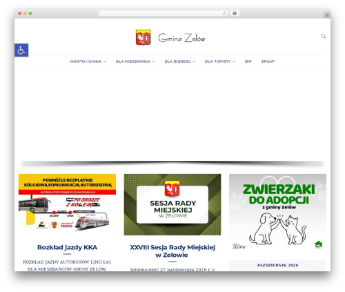 Theme WordPress MiniMag - zelow.pl