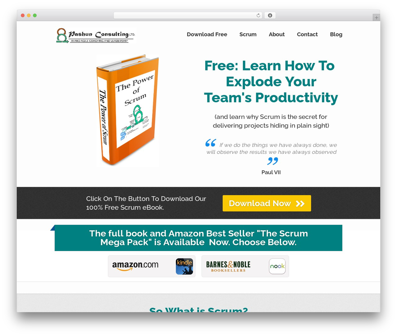 Theme WordPress Ultimate Conversion - pashunconsulting.co.uk