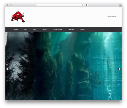 Hostinger affiliate plugin WordPress plugin - tomrivieremusic.com