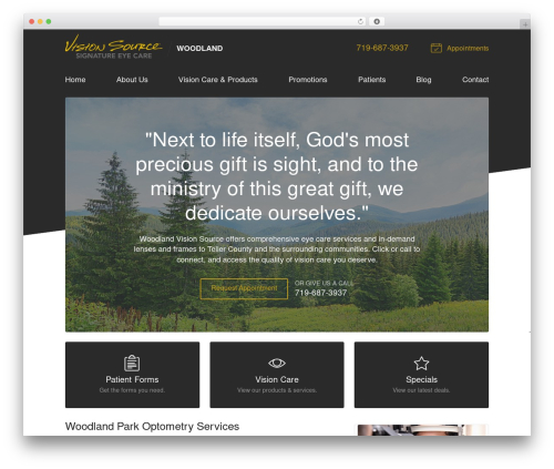 VS Theme #3 WP theme - woodlandvisionsource.com