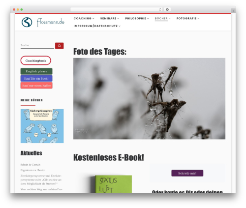 Ai WordPress plugin - flossmann.de