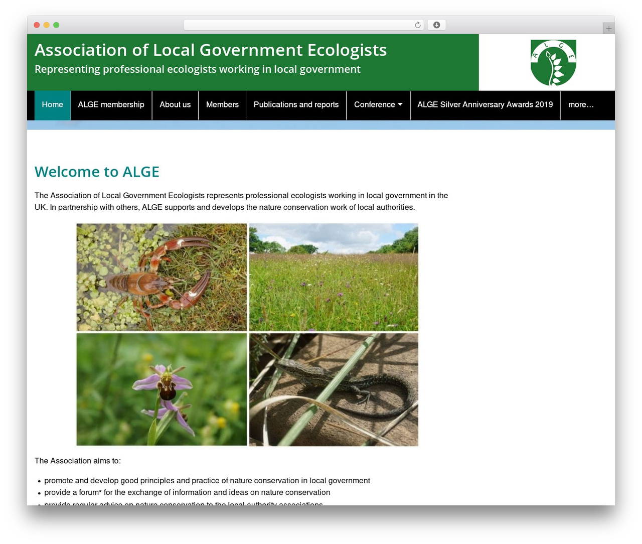 Theme - DCC Parent 3 WordPress theme - alge.org.uk
