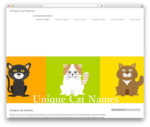 Farben Basic best WordPress theme - uniquecatnames.net