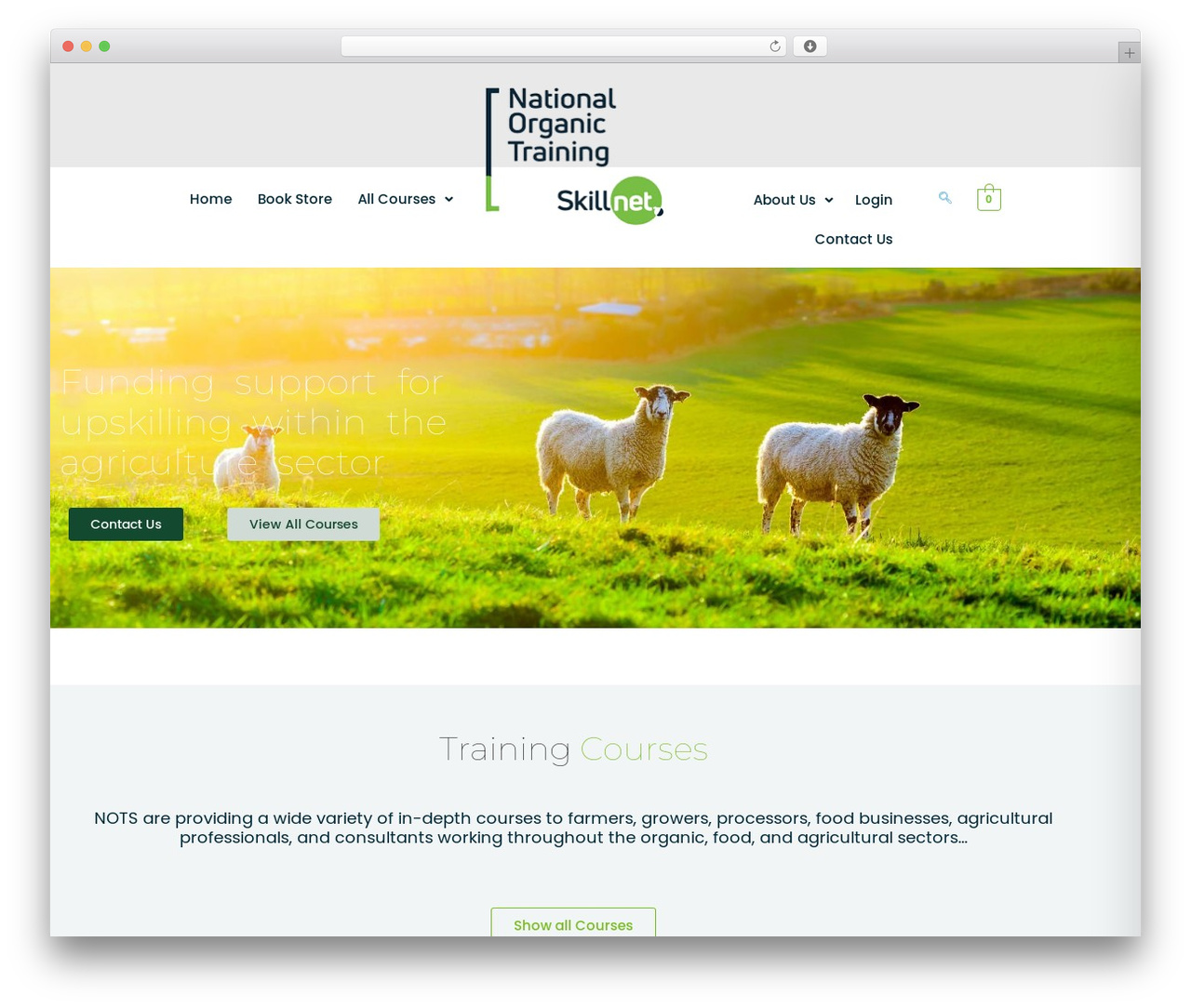 MasterStudy theme WordPress - nots.ie MasterStudy theme WordPress - nots.ie