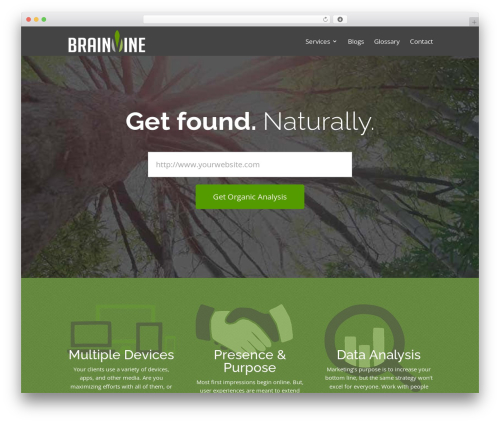 Divi WordPress theme - thebrainvine.com
