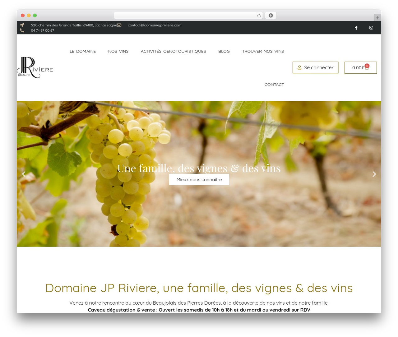 Hello Elementor theme WordPress - domainejpriviere.com