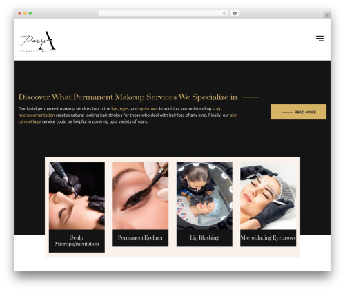 Lt core WordPress plugin - parispermanentmakeup.com