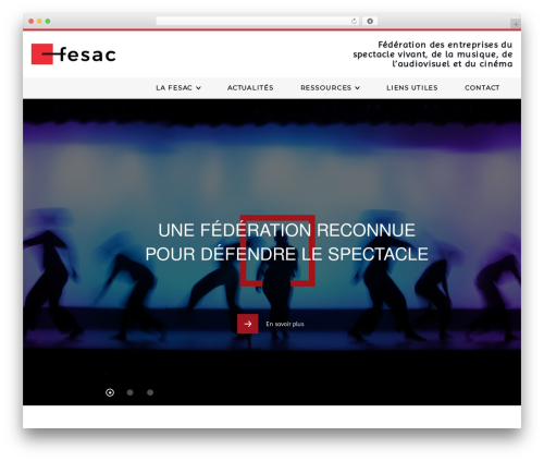 Slider revolution master WordPress plugin - fesac.fr