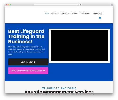 WordPress theme Divi - amspoolsga.com