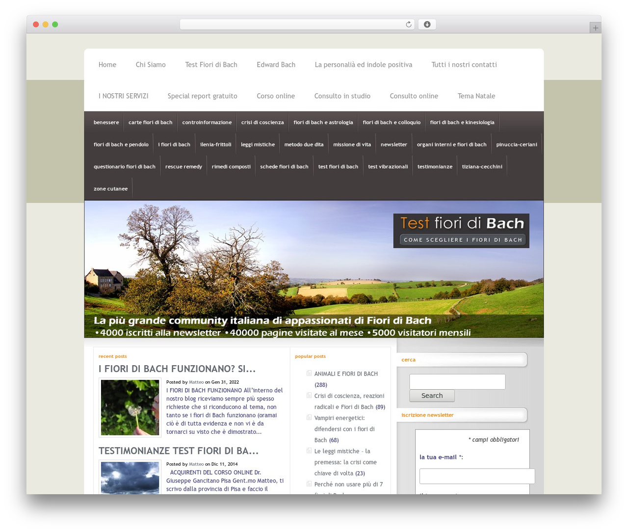 InterPhase WordPress theme design - testfioridibach.it