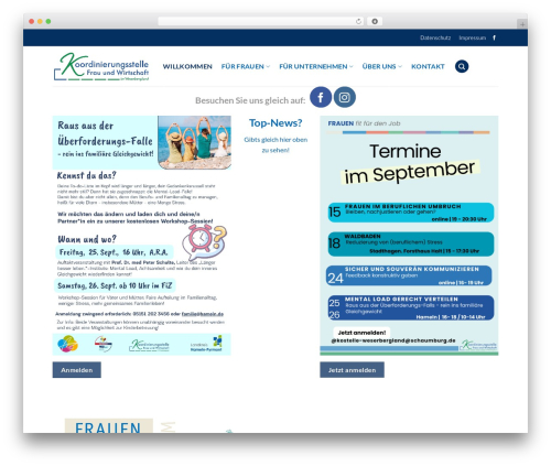Dsgvo pixelmate premium WordPress plugin - frau-wirtschaft-weserbergland.de