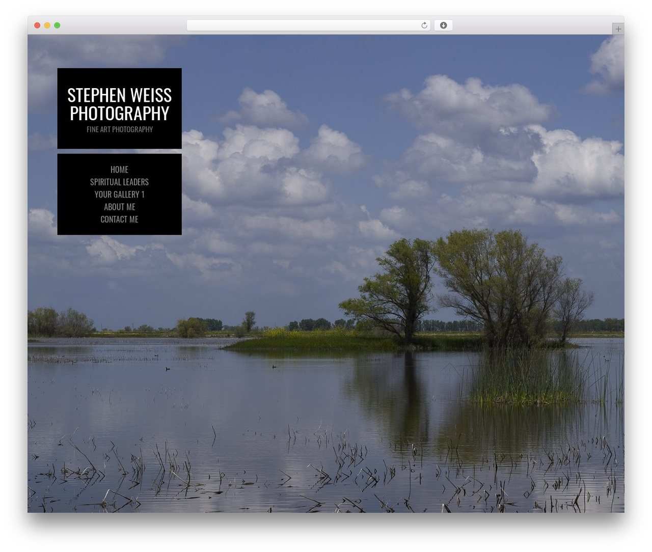 WordPress theme Photocrati Pro - stephenweissphotography.com