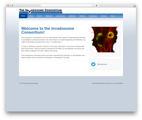 WP theme Responsive Pro - invadosomes.org