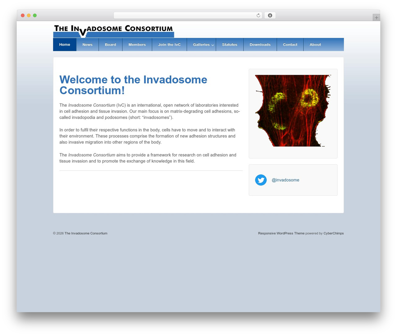 WP theme Responsive Pro - invadosomes.org WP theme Responsive Pro - invadosomes.org
