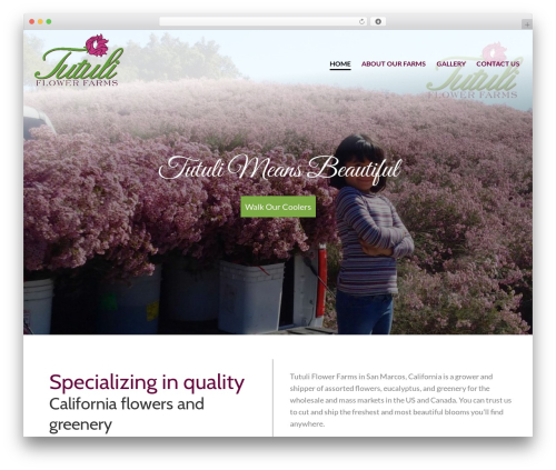 Pws core WordPress plugin - tutuli.com