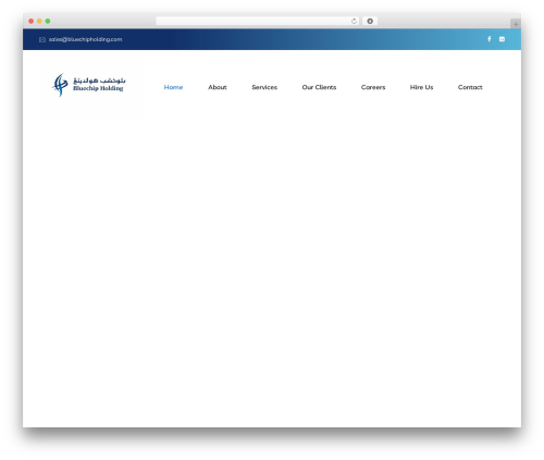 Braintech WordPress theme - bluechipholding.com