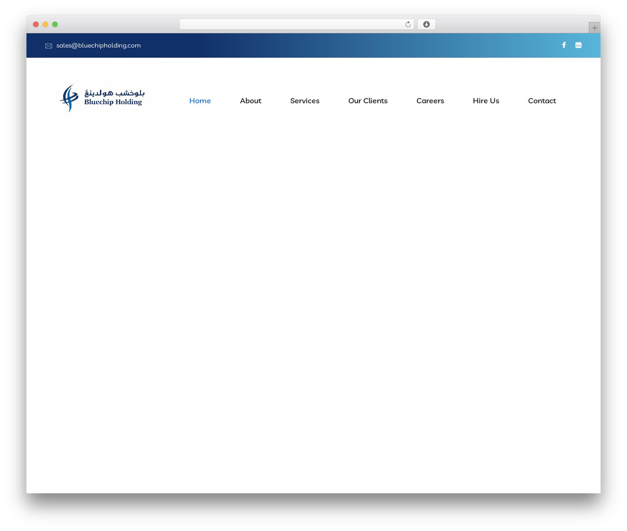 Braintech WordPress theme - bluechipholding.com